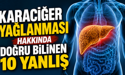Karaciğer yağlanması hakkında doğru bilinen 10 yanlış