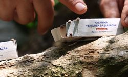 Antalya Büyükşehir'den 800 dekarlık arazi için çiftçilere faydalı böcek dağıtımı