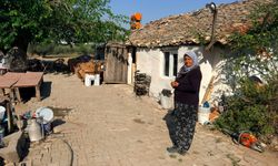 Hortumun evsiz bıraktığı aile bahçede yaşıyor