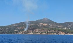 Kaş'ta makilik alanda çıkan yangın söndürüldü
