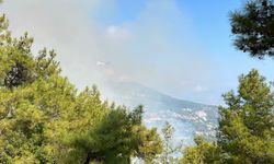Antalya'da iki ilçede çıkan orman yangınına müdahale ediliyor