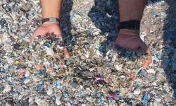 Tarsus-Kazanlı sahilinde plastik kirliliği
