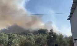 Aksu’da ormanlık ve zeytinlik alanda yangın