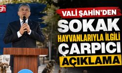 Antalya’da her yıl 25 bin vatandaş köpek ısırması nedeniyle tedavi görüyordu