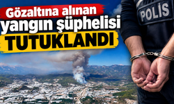 Bahçe sahibi tutuklandı!