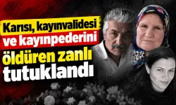 Karısı, kayınvalidesi ve kayınpederini öldüren zanlı tutuklandı