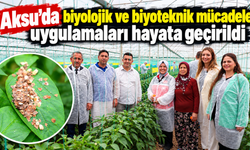 Aksu’da biyolojik mücadeleyle kalıntısız üretim hedefleniyor