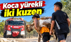 Yangından kurtardıkları oğlaklarını sırtlarında taşıdı