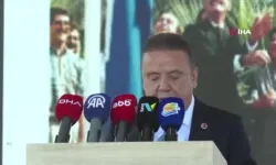 Antalya'daki fuhuş soruşturmasında 3'üncü dalga: 7 gözaltı