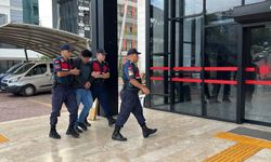 Alanya'da kuşlara yönelik vahşet kamerada
