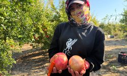 Antalya'da yağmur uyarıları nar hasadını öne çekti