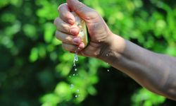 Karadeniz'de gemi trafiği durdu, limon ve mandalina dalında kaldı!