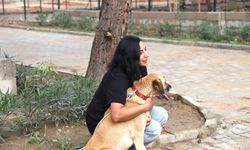 Aksu'da Çilek ve Duman, 8 arkadaşıyla birlikte yeni yuvalarına kavuştu