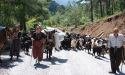 Yörüklerin Toroslar'dan sahile dönüş yolculuğu başladı