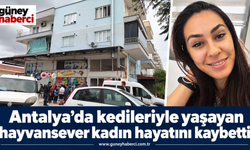 Kadının beslediği çok sayıda kedi belediye ekiplerince koruma altına alındı