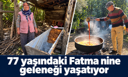Sırrı meşe külünde saklı