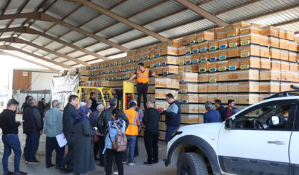 Büyükşehirden üreticiye arı kovanı desteği