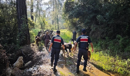 Antalya’da sürüden ayrılıp kaybolan 41 keçi jandarma tarafından bulundu