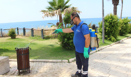 Antalya'da vektörle mücadele 19 ilçede sürdürülüyor