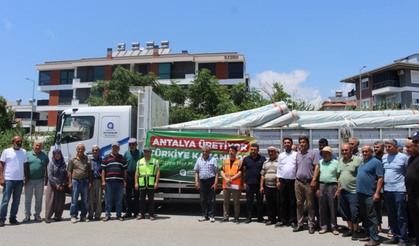Büyükşehir’den Gazipaşalı üreticilere naylon desteği