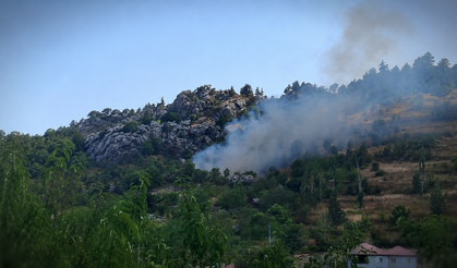 Alanya'da zirai alanda çıkan yangın korkuttu!
