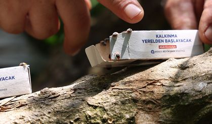 Antalya Büyükşehir'den 800 dekarlık arazi için çiftçilere faydalı böcek dağıtımı