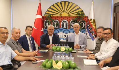 Alanya avokadosunun Avrupa Birliği coğrafi işaret başvurusu gerçekleştirildi
