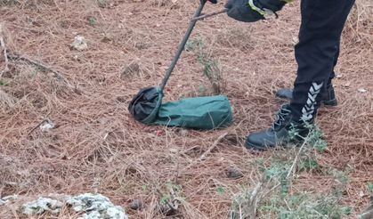 Evin girişinde bulunan yılan, itfaiye ekiplerince doğaya bırakıldı