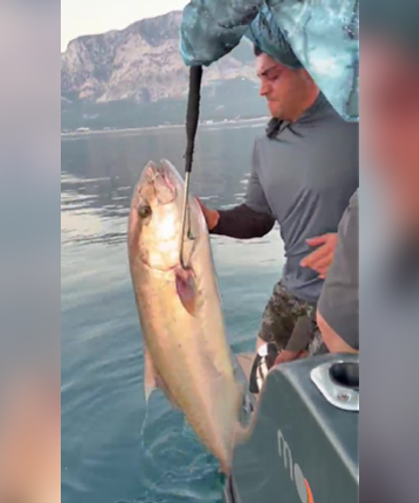 Konyaaltı Sahili'nde 56 kilogramlık kuzu balığı şaşkınlığı