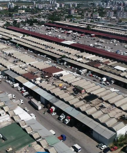 Antalya’da haziranda domates ve meyvede işlem miktarı arttı!