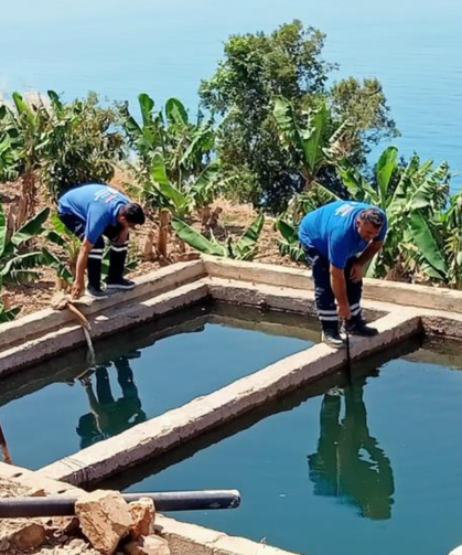 Antalya'da vektörle mücadele dört koldan sürüyor!