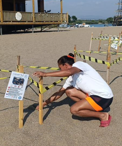 Manavgat'ta caretta caretta yavrularına koruma nöbeti