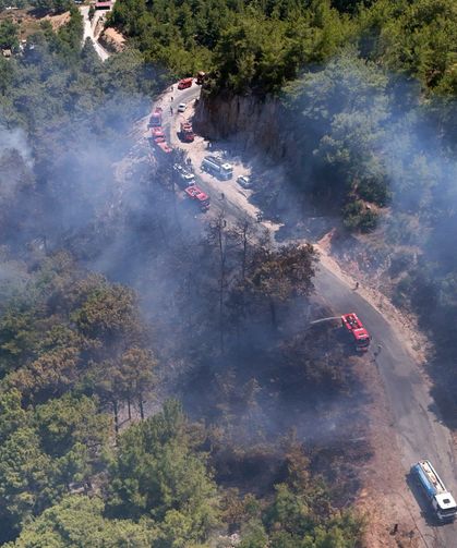 Alanya'da orman yangını 3 saatte kontrol altına alındı