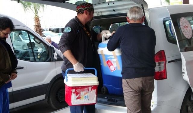  Beyin ölümü gerçekleşen hastanın karaciğer ve iki böbreği bağışlandı