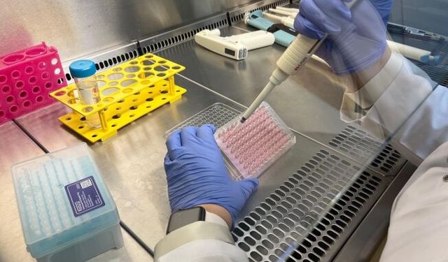 Parkinson’da bağırsak- beyin iletişimi çip üstü organ teknolojisiyle araştırılıyor