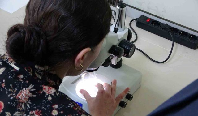 Prof. Dr. İsmail Gömceli: "Kolorektal kanser gençleri de tehdit ediyor"