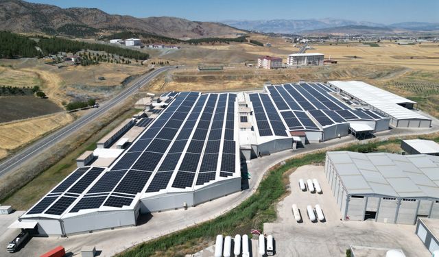 CW Enerji’den sanayiye yeşil enerji desteği