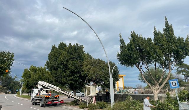 Büyükşehir'den Kemer'de peyzaj düzenlenesi