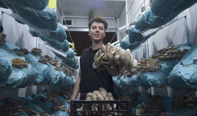 Aksu'da mesleği avukatlık olan 26 yaşındaki girişimci, mantar yetiştiriciliğini dev tesise çevirdi, hedefi mantar köyü