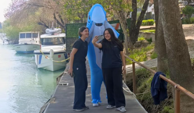 Köpek balığı kostümüyle sokaklarda