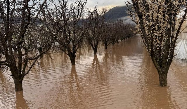 Elmalı'da dereler taştı, tarım alanları sular altında kaldı