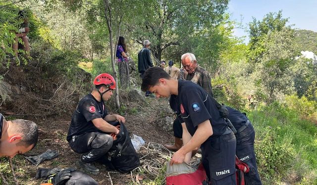 Otlarken mağaraya düşen inek telef oldu!