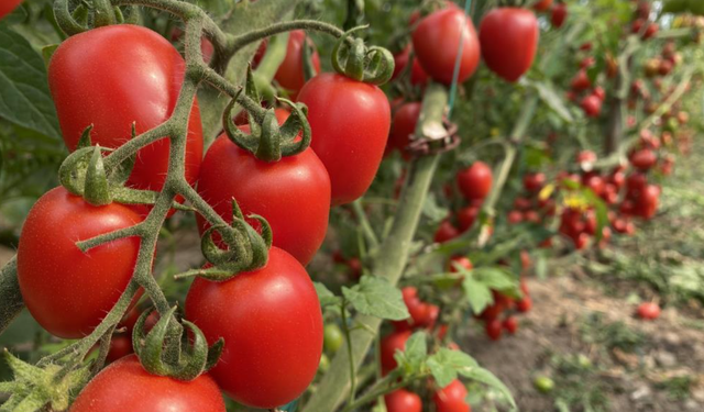 ATB mart ayı hal endeksini açıkladı