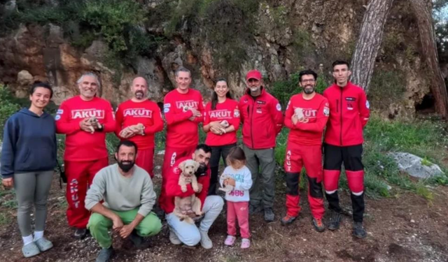Kaya yarığına düşen 6 yavru köpek için nefes kesen kurtarma operasyonu!