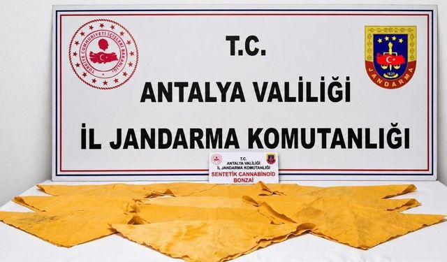 Alanya’da zehirli madde operasyonu!