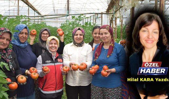 Dünya Çiftçiler Günü’nde Aksulu Kadın Çiftçilerden üretim mesaisi