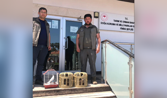 Kuş denetiminde kafeslerdeki keklik ve papağanlara el konuldu