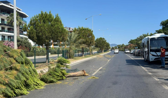 Alanya’da facianın eşiğinden dönüldü!