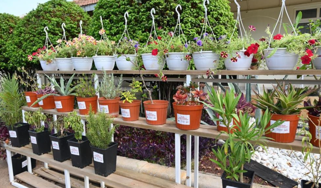 Kepez Bahçe Market Antalya'nın hizmetine açılıyor