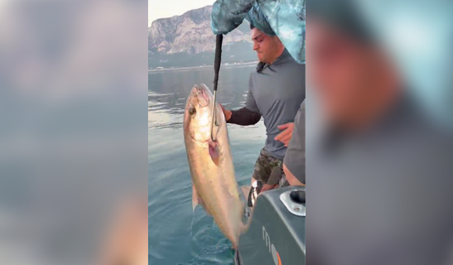 Konyaaltı Sahili'nde 56 kilogramlık kuzu balığı şaşkınlığı